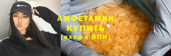 гидра Аркадак