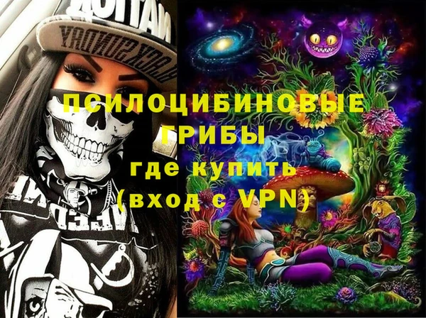 ГАЛЛЮЦИНОГЕННЫЕ ГРИБЫ Арсеньев