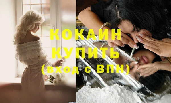 гидра Аркадак