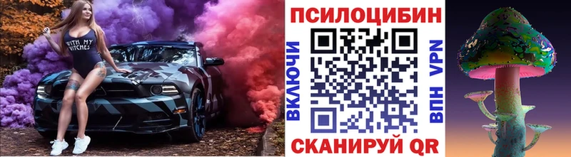 Галлюциногенные грибы мицелий  продажа наркотиков  площадка как зайти  Сокол 